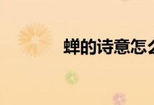 蟬的詩意怎么寫（蟬的詩意）