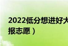 2022低分想進好大學(xué)的技巧（低分考生怎么報志愿）