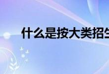 什么是按大類(lèi)招生（報(bào)考要注意什么）