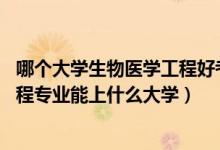 哪個大學生物醫(yī)學工程好考（2022高考550分報生物醫(yī)學工程專業(yè)能上什么大學）