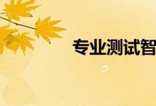 專業(yè)測試智商（專業(yè)測試）