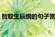 智取生辰綱的句子賞析（智取生辰綱的是誰）