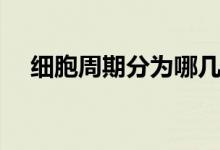細(xì)胞周期分為哪幾個時期（特點是什么）
