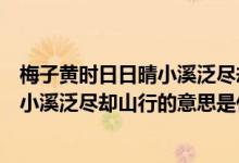 梅子黃時(shí)日日晴小溪泛盡卻山行的意思是（梅子黃時(shí)日日晴小溪泛盡卻山行的意思是什么）