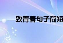 致青春句子簡短的（青春勵志短句）