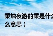 秉燭夜游的秉是什么意思（秉燭夜游的秉是什么意思）