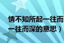 情不知所起一往而深的電視劇（情不知所起 一往而深的意思）