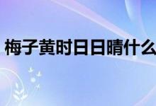 梅子黃時(shí)日日晴什么意思(梅子黃時(shí)日日晴)