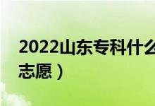 2022山東?？剖裁磿r候報志愿（?？圃趺磮笾驹福?class=