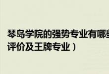 琴島學(xué)院的強勢專業(yè)有哪些（2022年青島理工大學(xué)琴島學(xué)院評價及王牌專業(yè)）
