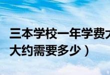 三本學(xué)校一年學(xué)費(fèi)大約多少錢（三本學(xué)費(fèi)一年大約需要多少）