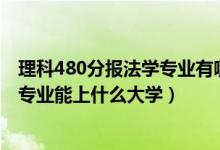 理科480分報(bào)法學(xué)專業(yè)有哪些大學(xué)（2022高考550分報(bào)法學(xué)專業(yè)能上什么大學(xué)）