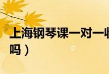 上海鋼琴課一對一收費(fèi)標(biāo)準(zhǔn)(學(xué)鋼琴的費(fèi)用高嗎)