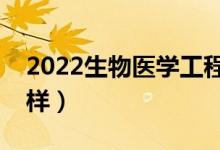 2022生物醫(yī)學(xué)工程專業(yè)工資待遇（薪資怎么樣）