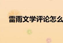 雷雨文學(xué)評論怎么寫（文學(xué)評論怎么寫）