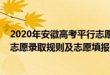 2020年安徽高考平行志愿填報(bào)技巧（2022年安徽高考平行志愿錄取規(guī)則及志愿填報(bào)設(shè)置解讀）