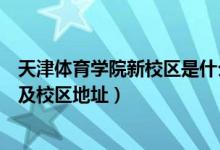 天津體育學(xué)院新校區(qū)是什么學(xué)校（天津體育學(xué)院有幾個校區(qū)及校區(qū)地址）