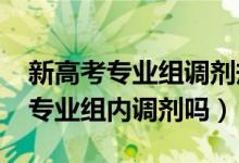 新高考專業(yè)組調(diào)劑規(guī)則（2022高考調(diào)劑是在專業(yè)組內(nèi)調(diào)劑嗎）