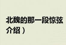 北魏的那一段驚弦（關(guān)于北魏的那一段驚弦的介紹）