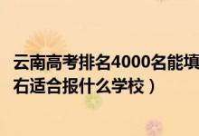 云南高考排名4000名能填報(bào)的學(xué)校（云南高考位次90000左右適合報(bào)什么學(xué)校）