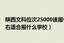 陜西文科位次25000該報(bào)什么學(xué)校(陜西高考位次20000左右適合報(bào)什么學(xué)校)