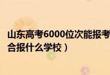 山東高考6000位次能報(bào)考學(xué)校（山東高考位次90000左右適合報(bào)什么學(xué)校）
