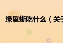綠鬣蜥吃什么（關(guān)于綠鬣蜥吃什么的介紹）