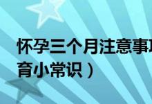 懷孕三個月注意事項（孕媽媽要知道的5個孕育小常識）