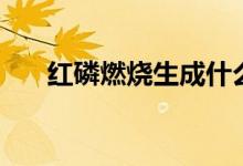 紅磷燃燒生成什么（紅磷燃燒的現象）