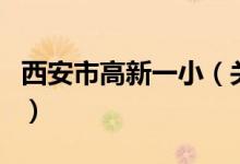 西安市高新一?。P于西安市高新一小的介紹）