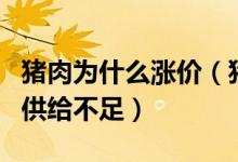 豬肉為什么漲價（豬肉漲價是因?yàn)榻衲曦i肉的供給不足）
