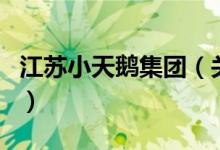 江蘇小天鵝集團（關于江蘇小天鵝集團的介紹）