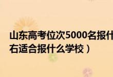 山東高考位次5000名報(bào)什么學(xué)校（山東高考位次120000左右適合報(bào)什么學(xué)校）