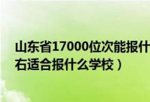 山東省17000位次能報(bào)什么學(xué)校（山東高考位次140000左右適合報(bào)什么學(xué)校）