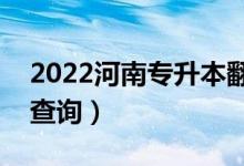 2022河南專升本翻譯一分一段表（成績排名查詢）