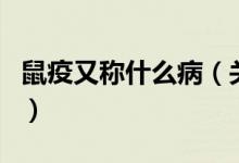 鼠疫又稱什么?。P(guān)于鼠疫又稱什么病的介紹）