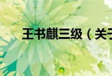 王書(shū)麒三級(jí)（關(guān)于王書(shū)麒三級(jí)的介紹）