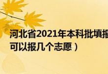 河北省2021年本科批填報(bào)志愿時間（2022河北本科提前批可以報(bào)幾個志愿）