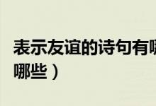 表示友誼的詩句有哪些（關(guān)于友誼的詩句都有哪些）