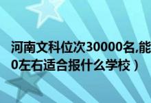 河南文科位次30000名,能報(bào)什么學(xué)校（河南高考位次190000左右適合報(bào)什么學(xué)校）
