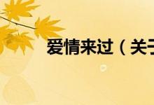 愛情來過（關于愛情來過的介紹）