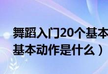 舞蹈入門20個(gè)基本動作下叉（舞蹈入門20個(gè)基本動作是什么）