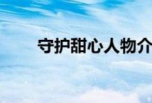 守護甜心人物介紹（多個人物簡介）