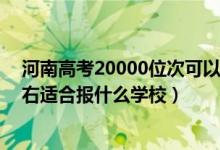 河南高考20000位次可以上大學(xué)（河南高考位次220000左右適合報(bào)什么學(xué)校）
