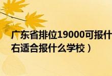 廣東省排位19000可報(bào)什么大學(xué)（廣東高考位次190000左右適合報(bào)什么學(xué)校）