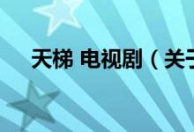天梯 電視?。P(guān)于天梯 電視劇的介紹）