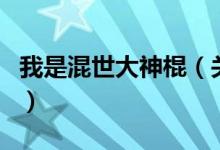 我是混世大神棍（關(guān)于我是混世大神棍的介紹）
