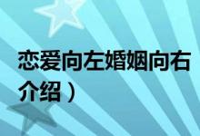 戀愛向左婚姻向右（關(guān)于戀愛向左婚姻向右的介紹）