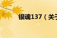銀魂137（關(guān)于銀魂137的介紹）
