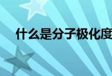 什么是分子極化度（什么是分子熱運(yùn)動(dòng)）